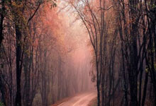 西甲绿茵激战：战术博弈与球员闪光，铸就足球盛宴