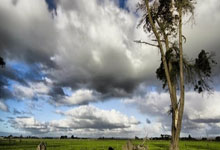 那不勒斯：蓝色风暴席卷亚平宁，继续向国米施压！