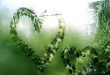 斯洛伐克惊艳逆袭，波兰黯然神伤——一场荡气回肠的战术博弈