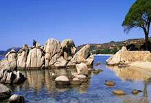 斯洛伐克惊艳逆袭，波兰黯然神伤——一场荡气回肠的战术博弈